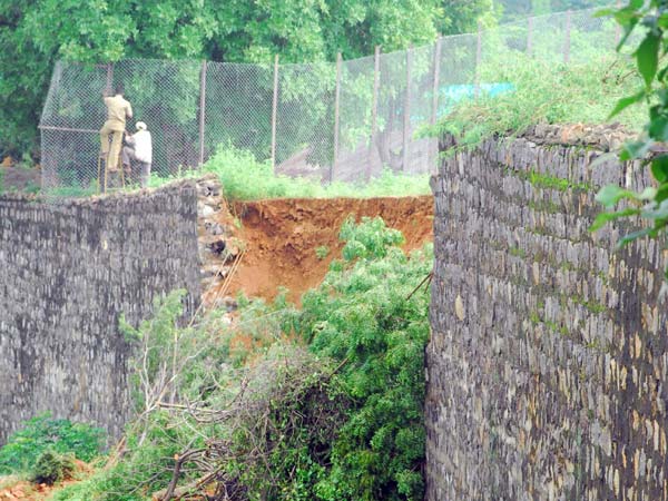 Scare at Vandalur as tiger goes 'missing' from enclosure in zoo Scare at Vandalur as tiger goes 'missing' from enclosure in zoo