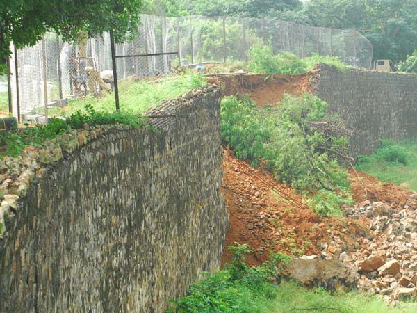 போக்கு காட்டும் நேத்ரா புலி