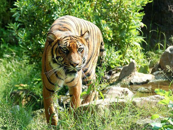2வது நாளாக தொடரும் பீதி