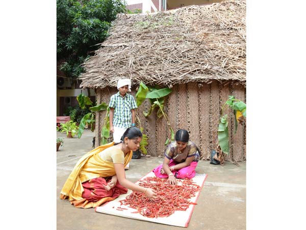 Chennai school teaches village life Chennai school teaches village life