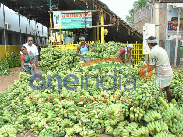 Bananas pour in Pazhani from Lalapet for making Panchamirtham Bananas pour in Pazhani from Lalapet for making Panchamirtham