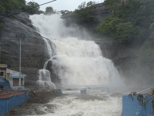 தீயணைப்பு வீரர்கள் மீட்பு