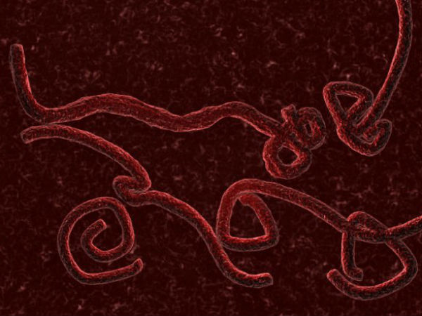 Uganda reuturned Kayalpatnam man is ebola free Uganda reuturned Kayalpatnam man is ebola free