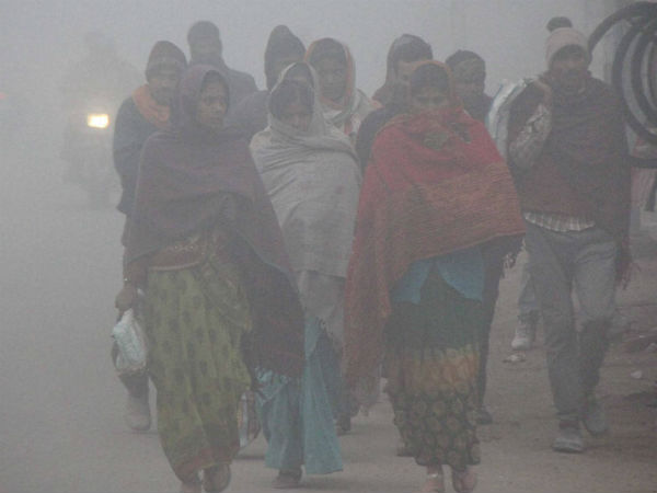 Fog covers north India, Capital freezes at 2.6 degree Fog covers north India, Capital freezes at 2.6 degree