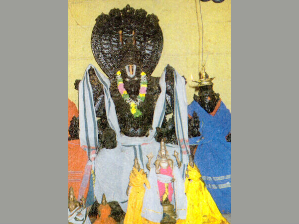 Sri Varagunamangai Vijayasanaperumal Sri Varagunamangai Vijayasanaperumal