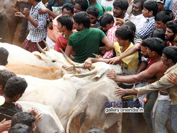 புதிய சட்டம் இயற்றுக