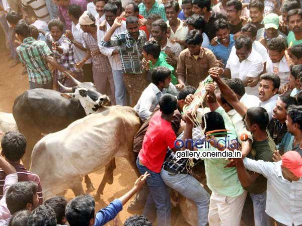 உணர்வுகளின் கோரிக்கை
