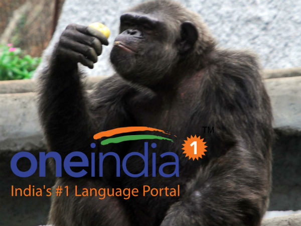 Lakhs throng Vandalur zoo on Kaanum pongal Lakhs throng Vandalur zoo on Kaanum pongal