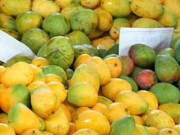 திருப்தியான அதிகாரிகள்: