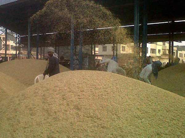 Dirct paddy procurement centers in Tiruvarur Dirct paddy procurement centers in Tiruvarur