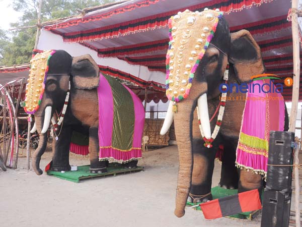உடுமலைப்பேட்டையிலிருந்து இரண்டு யானைகள்