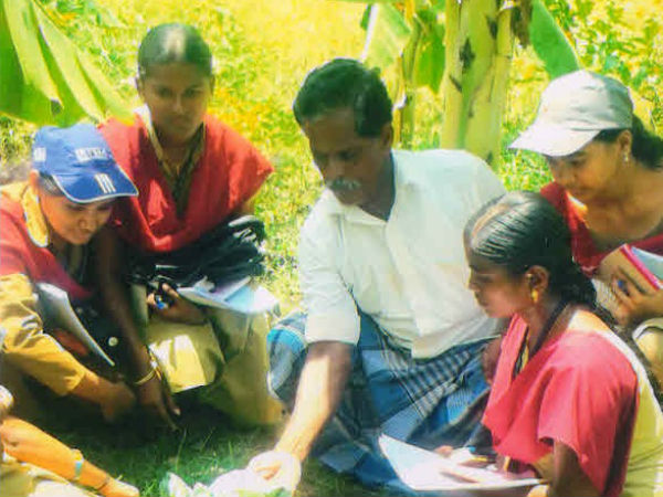 Mahadhanapuram farmer's novel farming lures other farmers Mahadhanapuram farmer's novel farming lures other farmers
