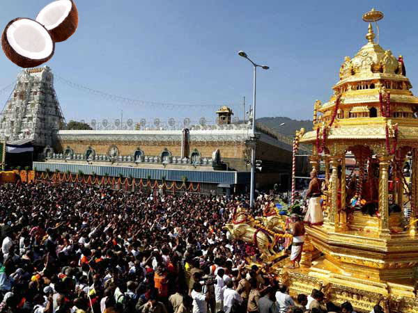 Shortage of coconuts at Tirumala Tirupati Devasthanam Shortage of coconuts at Tirumala Tirupati Devasthanam