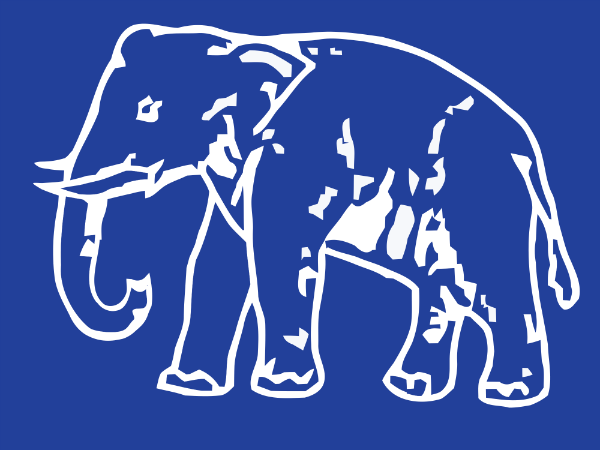 Poor show in Delhi to cost BSP its national party status Poor show in Delhi to cost BSP its national party status