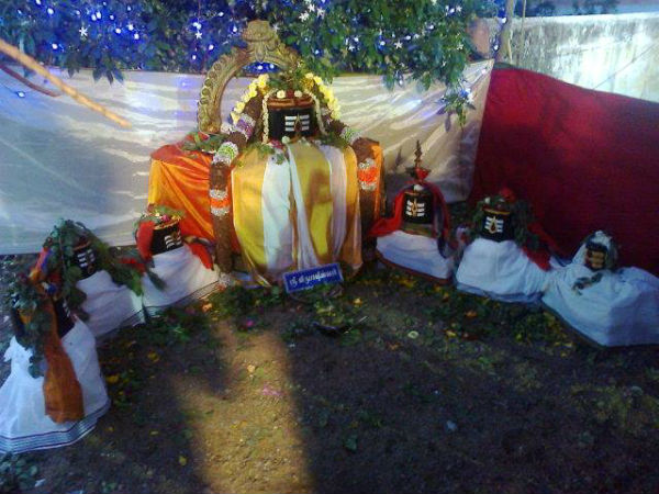 Thousands celebrate Hindu festival in Mauritius Thousands celebrate Hindu festival in Mauritius