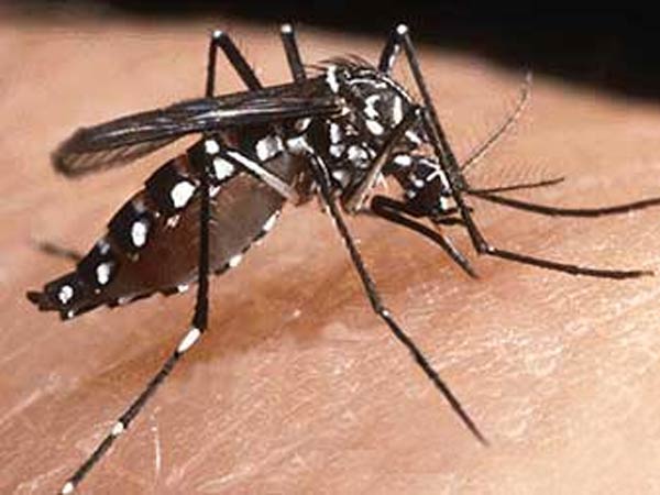 ஆயில் ஊற்றியும்