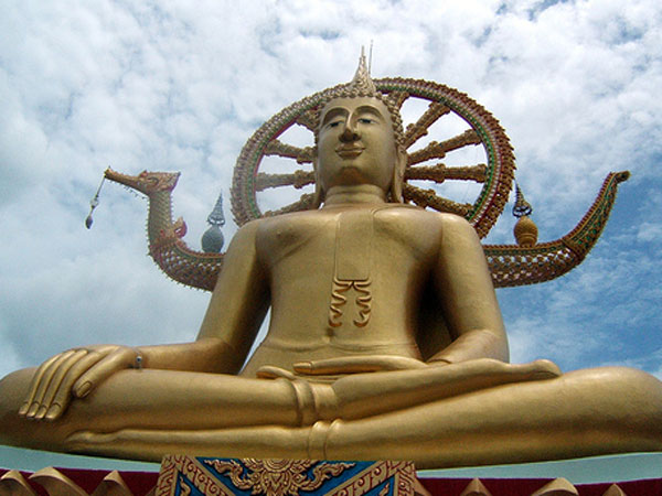 பின்னோக்கி போகும் புத்தமதம்