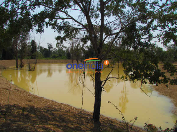 5 லட்சம் லிட்டர் தண்ணீர்: