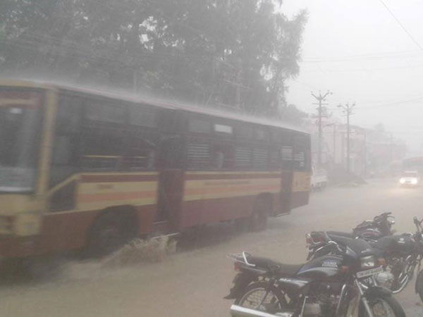 Summer rain brings more cheers in Southern districts Summer rain brings more cheers in Southern districts