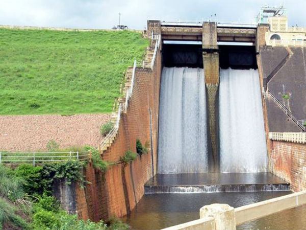 Heavy rains in Nellai District warm the hears of farmers Heavy rains in Nellai District warm the hears of farmers