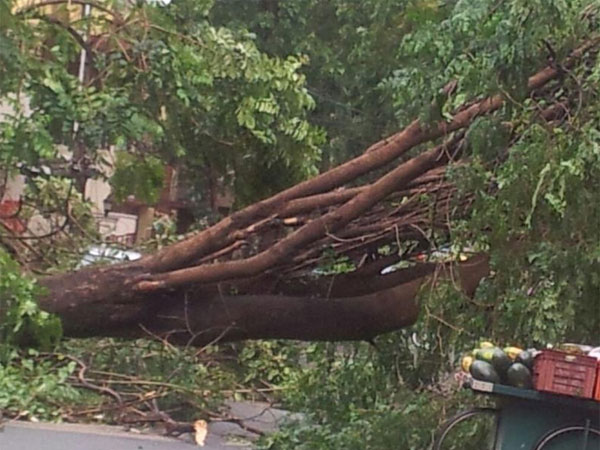 Heavy rain cause widespread damages in Mettupalayuam, Udhagamandalam Heavy rain cause widespread damages in Mettupalayuam, Udhagamandalam
