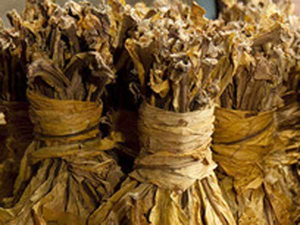 Tobacco Bundel seized in nellai bounded train Tobacco Bundel seized in nellai bounded train