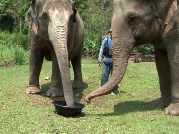 அதிகரிக்கும் வரவேற்பு: