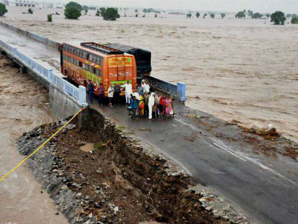 10 Lions Killed After Floods in Gujarat 10 Lions Killed After Floods in Gujarat