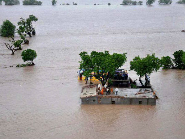 10 Lions Killed After Floods in Gujarat 10 Lions Killed After Floods in Gujarat