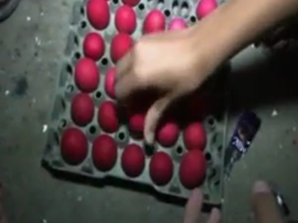 Pakistan 'egg fighting' peaks in Ramadan Pakistan 'egg fighting' peaks in Ramadan