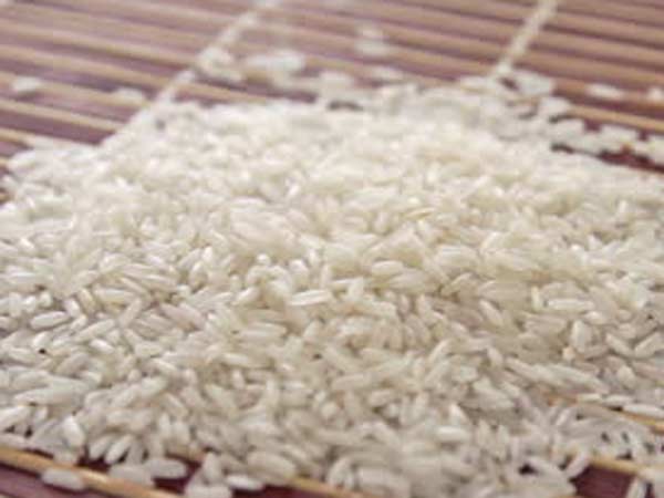 ஆப்பிரிக்காவிற்கு ஏற்றுமதி