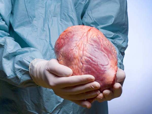 12-yr-old brain-dead boy's heart airlifted to Chennai 12-yr-old brain-dead boy's heart airlifted to Chennai