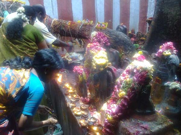 அம்மனுக்கு சர்க்கரைப் பொங்கல்
