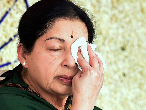 திருத்தப்பட்ட மனு