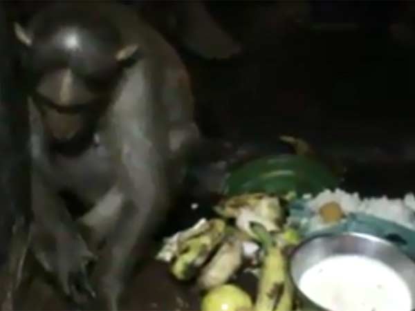 பால், பழம் சமர்ப்பணம்: