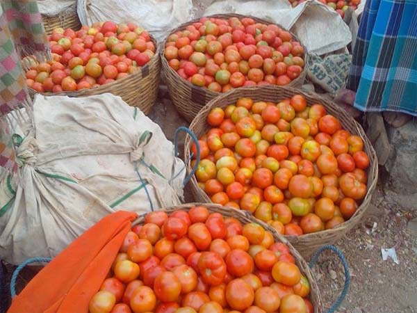 நுழைய அனுமதிக்க மாட்டோம்
