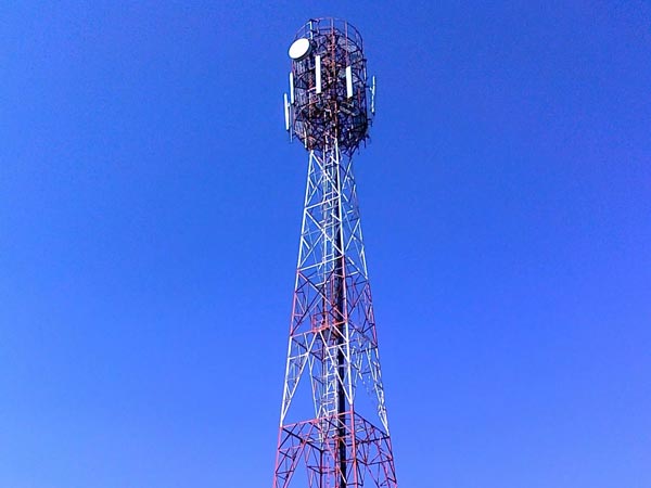 Dindigul: Two youngsters protest by climbing cellphone tower Dindigul: Two youngsters protest by climbing cellphone tower