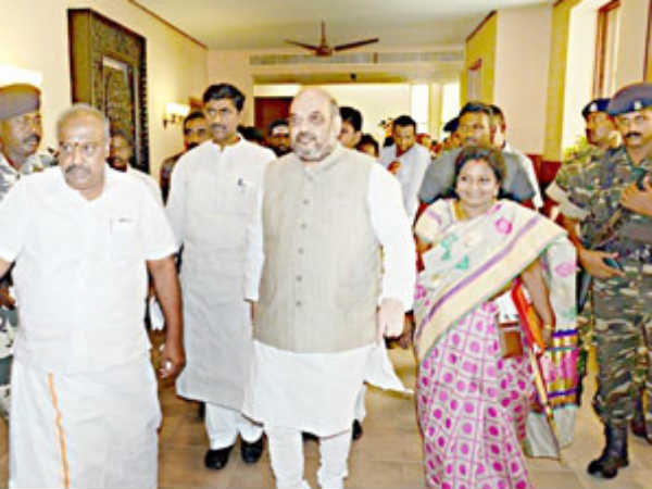 amid shah amid shah