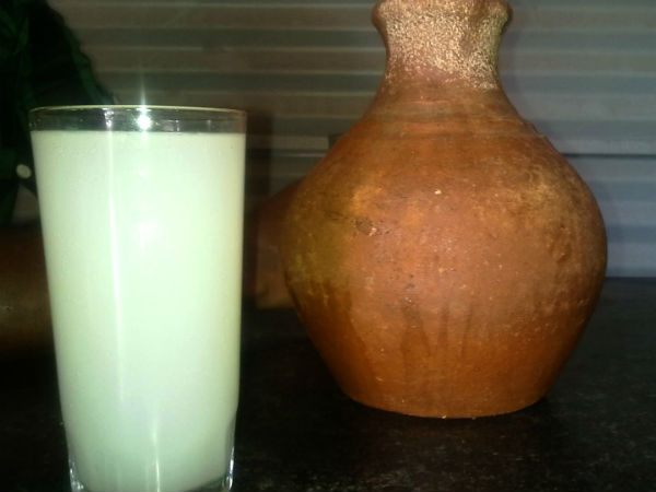 toddy toddy