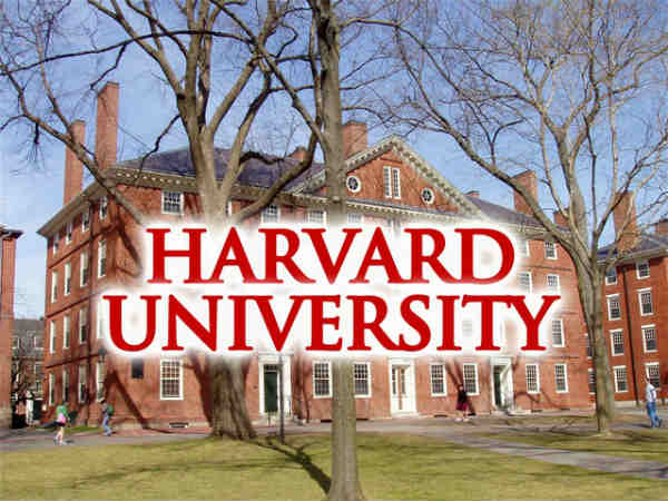 harward university harward university