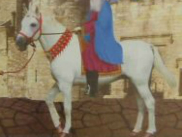 அமோகவர்ஷன்