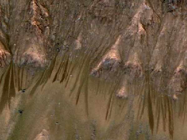 அறிவிப்புக் குழுவில் இந்தியர்