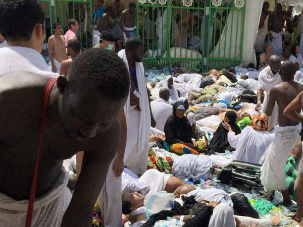 Hajj stampede: Iran death toll rises to 464 Hajj stampede: Iran death toll rises to 464