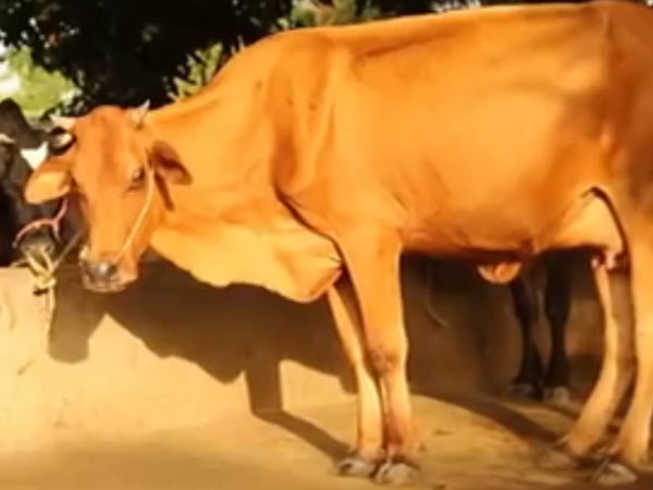 பயந்து ஓடிய 4 பேர்: