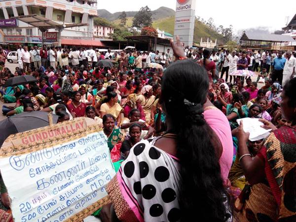 மூணாறு தமிழ்ப் பெண் தோட்ட தொழிலாளர்கள் கேட்ட ஊதியம் ரூ500- கிடைத்தது ரூ301... மீண்டும் போராட்டம்!