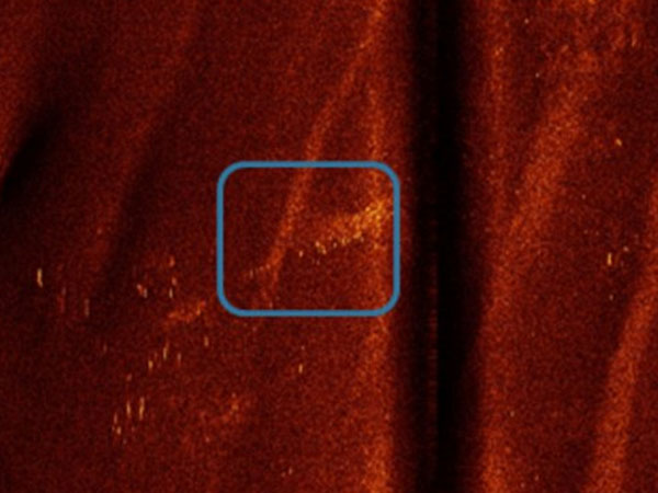 MH 370 debris found? MH 370 debris found?