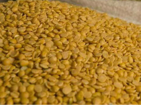 Maharashtra govt seizes 23,340 tonnes of pulses, prices may cool Maharashtra govt seizes 23,340 tonnes of pulses, prices may cool