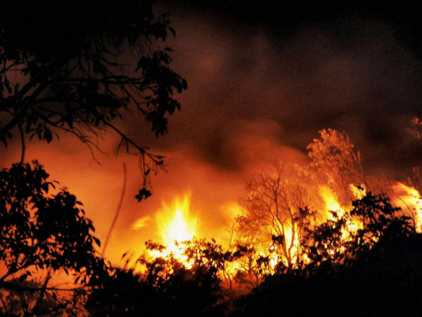 Indonesia's fires labelled a crime against humanity Indonesia's fires labelled a crime against humanity