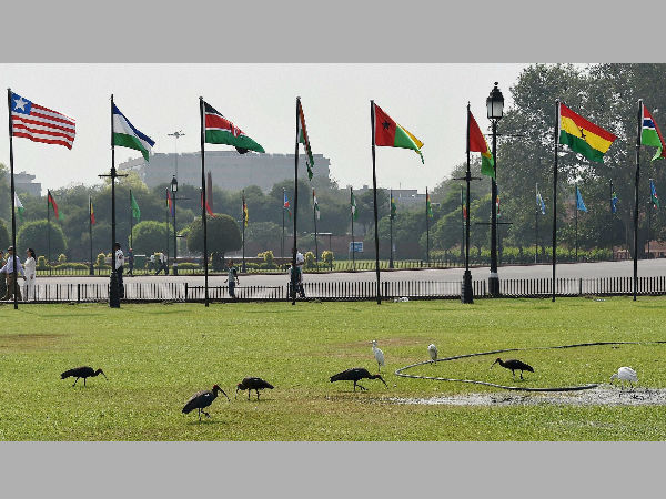 India-Africa summit feels tremors but meeting continues India-Africa summit feels tremors but meeting continues