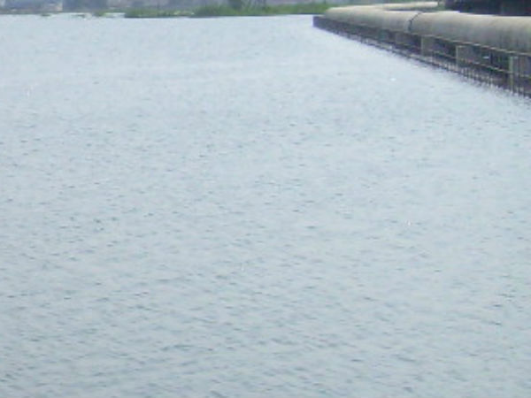 Cholavaram lake in dangerous condition Cholavaram lake in dangerous condition
